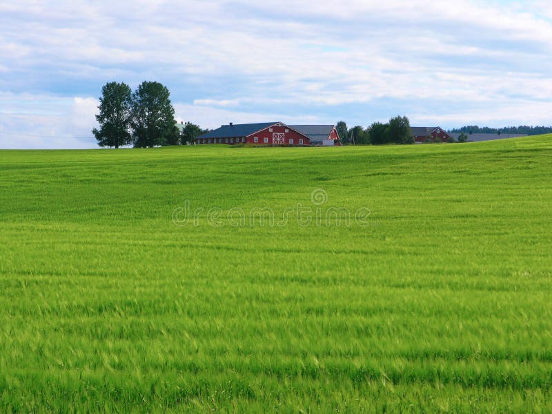 Beautiful Norway nature