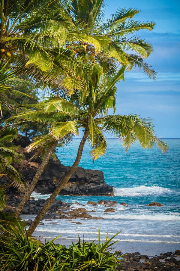 Beautiful Ocean of Hawaii stock images