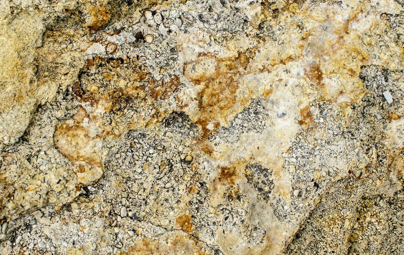 miami oolite limestone miami oolite limestone