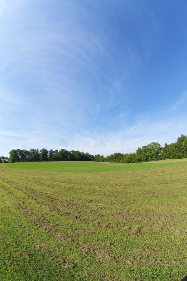 Beautiful, Open Grassy Field