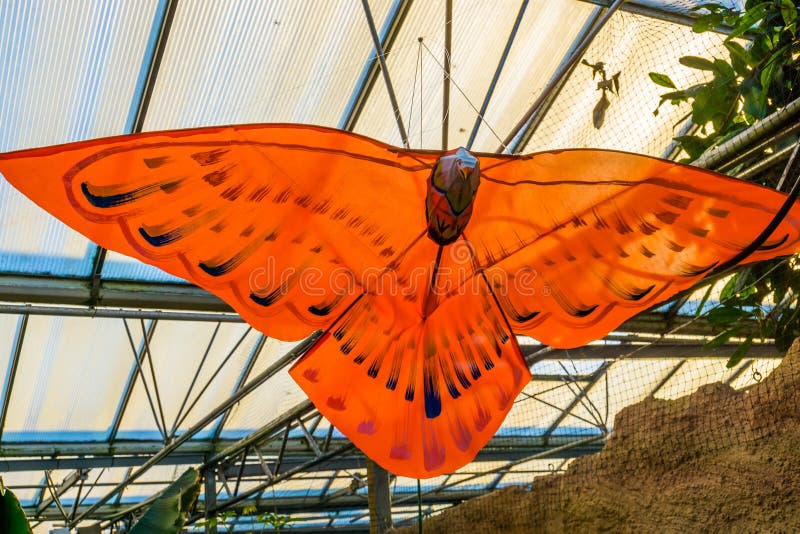 Beautiful Orange Butterfly Decoration Hanging on the Ceiling, Creative