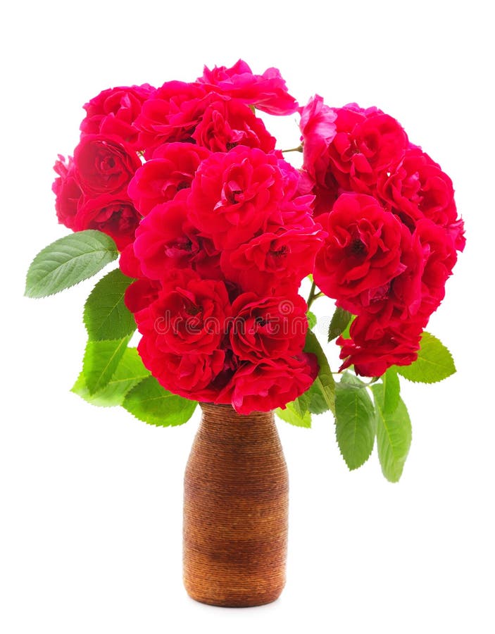 Beautiful Orange Flowers in the Vase Stock Image Image of orange