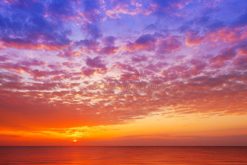 Chiêm ngưỡng nền hoàng hôn màu hồng cam trên biển đầy mộng mơ này! Cảnh quan đẹp từng khoảnh khắc này sẽ khiến bạn cảm thấy thoải mái và yên tĩnh. Hãy đi du lịch và tận hưởng cảm giác của nền hoàng hôn này.