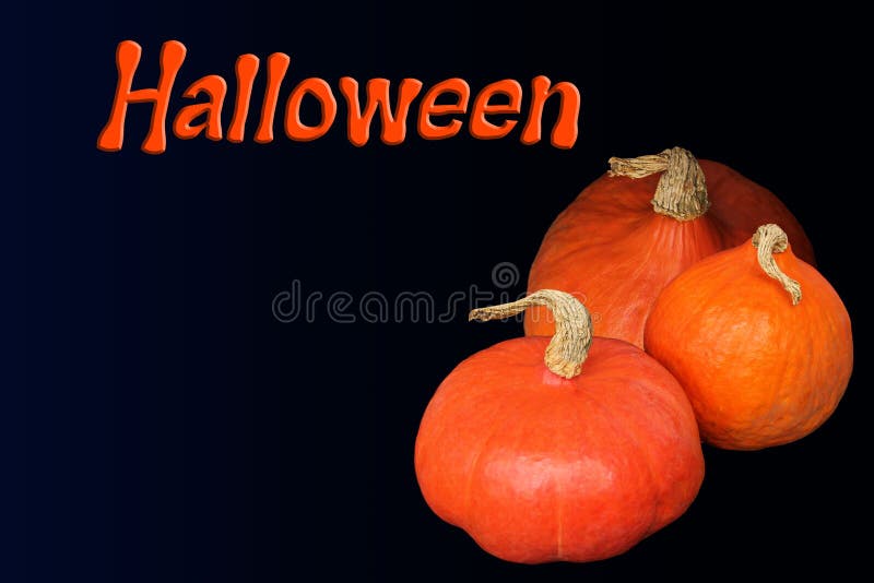 Beautiful orange pumpkins on a dark background and the inscription, postcard, menu, invitation, blank for the designer, a symbol royalty free stock image Beautiful orange pumpkins on a dark background and the inscription, postcard, menu, invitation, blank for the designer, a symbol royalty free stock image