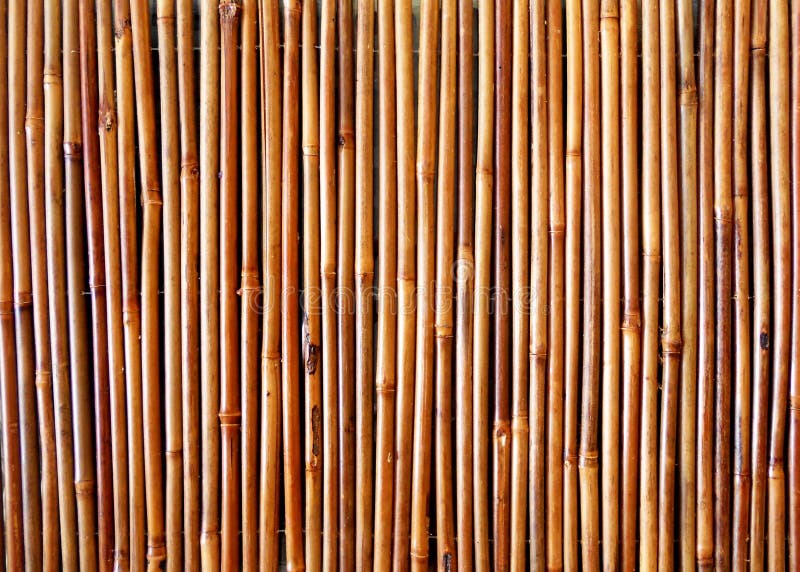 Background of Bamboo Sticks Stock Photo - Image of brown, bamboo: 133061536