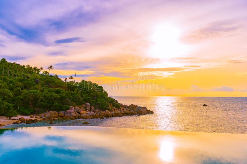 Beautiful Outdoor Infinity Swimming Pool With Coconut Palm Tree Around