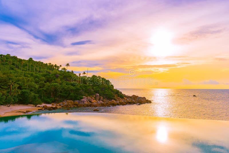 Beautiful Outdoor Infinity Swimming Pool With Coconut Palm Tree Around