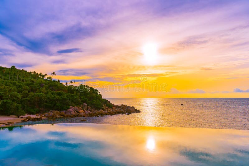 Beautiful Outdoor Infinity Swimming Pool With Coconut Palm Tree Around