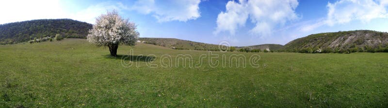 Beautiful panorama of moldavian landscape