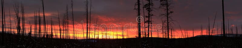 6 426 Forest Fire Sunset Photos Free Royalty Free Stock Photos From Dreamstime