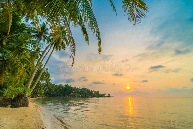 Beautiful Paradise Island With Beach And Sea Around Coconut Palm Stock ...