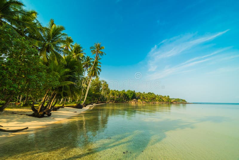 Beautiful Paradise Island with Beach and Sea Stock Image - Image of ...