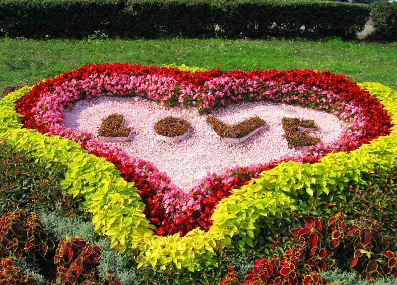 Beautiful park garden royalty free stock photos