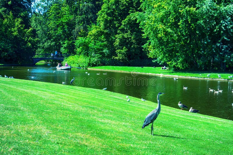 Beautiful Park with a Pond, Ducks Beautiful Nature. Denmark. Editorial Photography - Image of malmo, copenhagen: 160549167