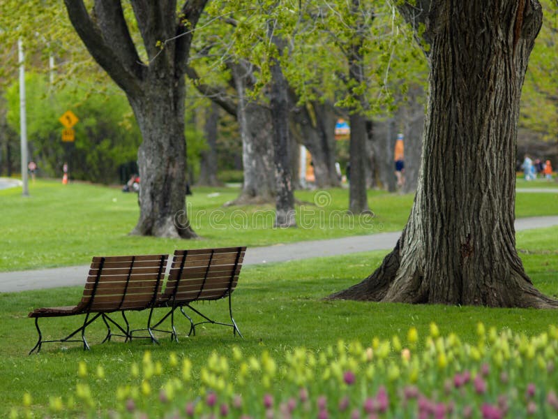 Beautiful park in spring