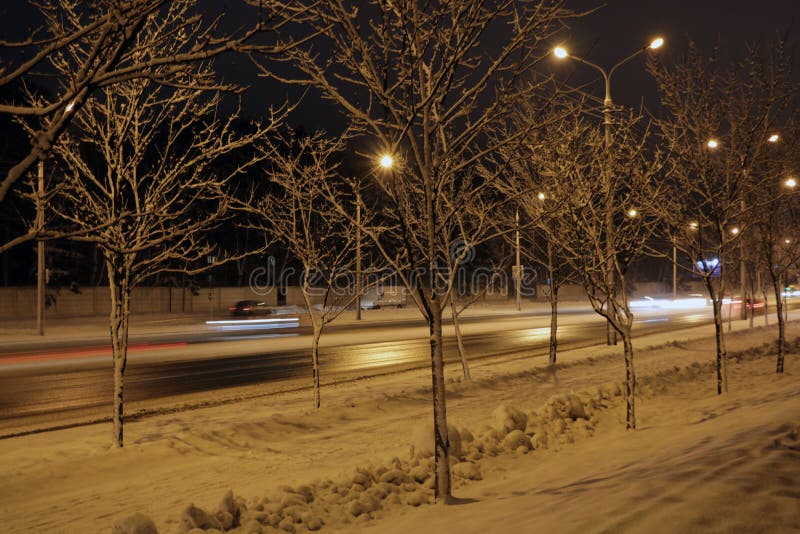 Beautiful park for walking at night in winter royalty free stock photography Beautiful park for walking at night in winter royalty free stock photography