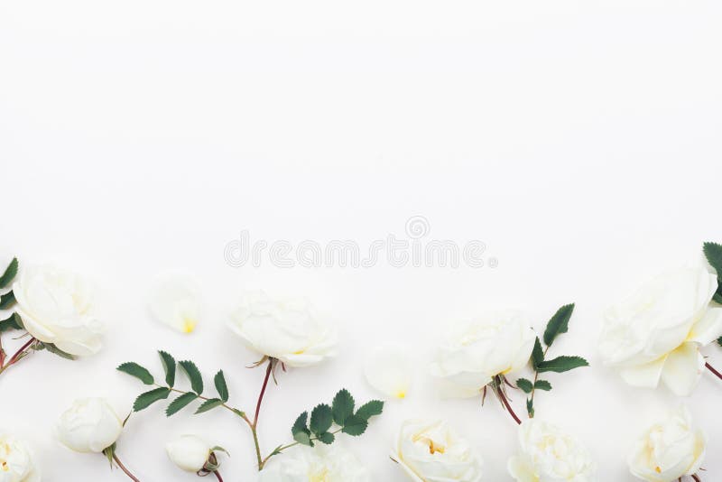 Beautiful pastel rose flowers and leaves on white table top view. Floral border. Flat lay style. royalty free stock images Beautiful pastel rose flowers and leaves on white table top view. Floral border. Flat lay style. royalty free stock images