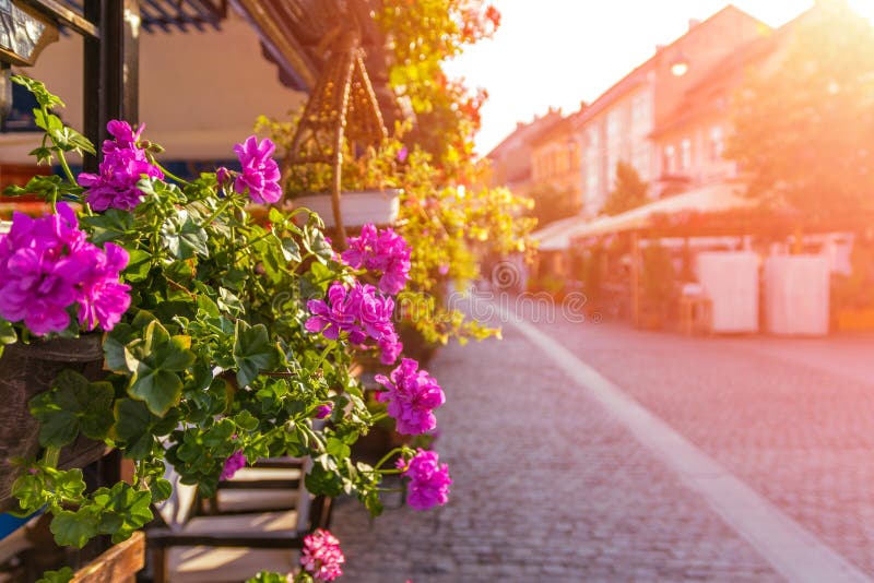 Beautiful pedestrian street in a medieval town with flowers on the terrace on a summer sunrise in Sibiu, Romania stock image Beautiful pedestrian street in a medieval town with flowers on the terrace on a summer sunrise in Sibiu, Romania stock image