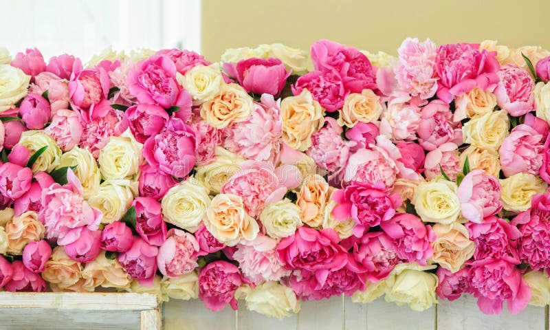 Beautiful peonies and roses stock photos