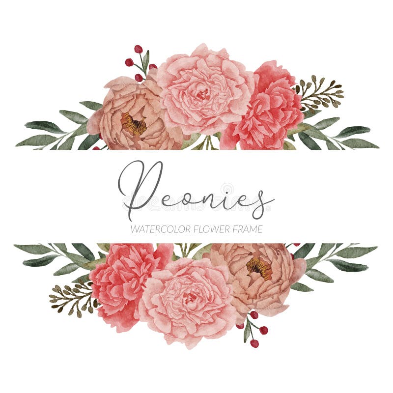 Beautiful Peony Floral Arrangement Frame Border Stock Vector ...