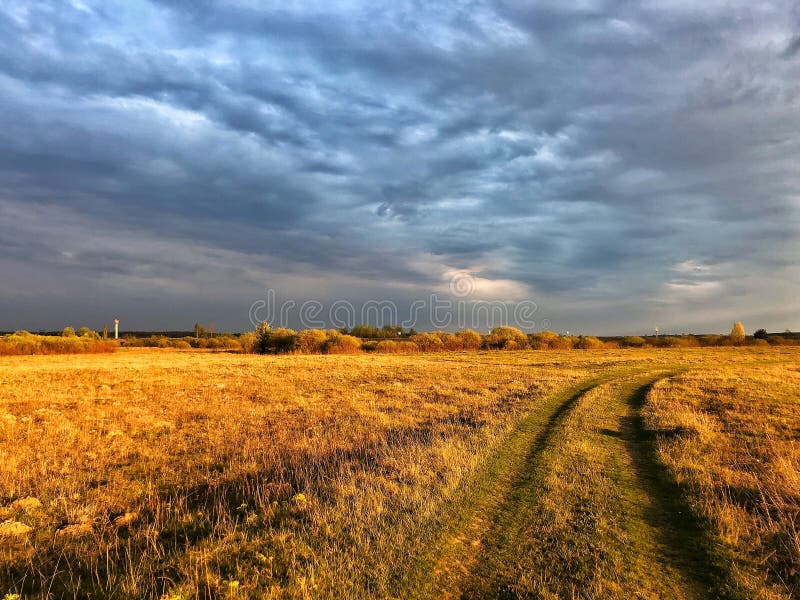 Beautiful photo stock image. Image of forest, road, beautiful 233284839