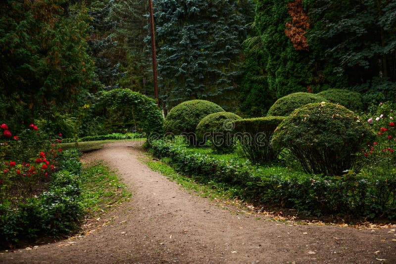 Beautiful photos of forests. Path in an amazing garden royalty free stock photo