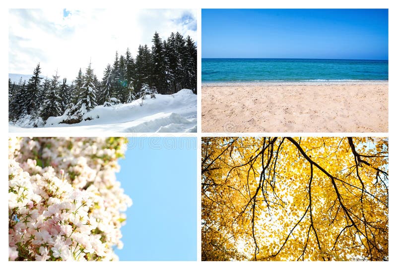 Beautiful photos of nature. Four seasons collage stock image