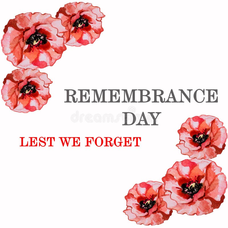 national day of remembrance poppy national day of remembrance poppy