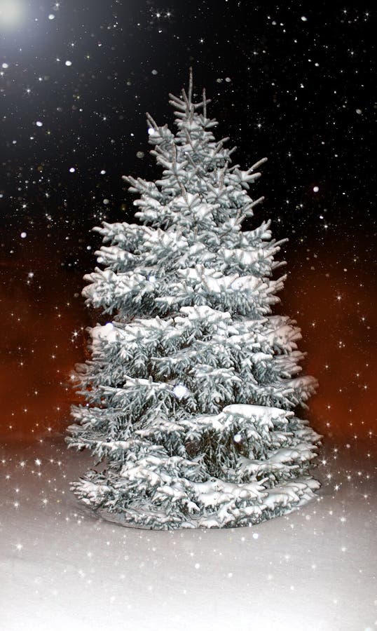 Beautiful Pine Tree Covered in Snow and Ice at Night Stock Photo