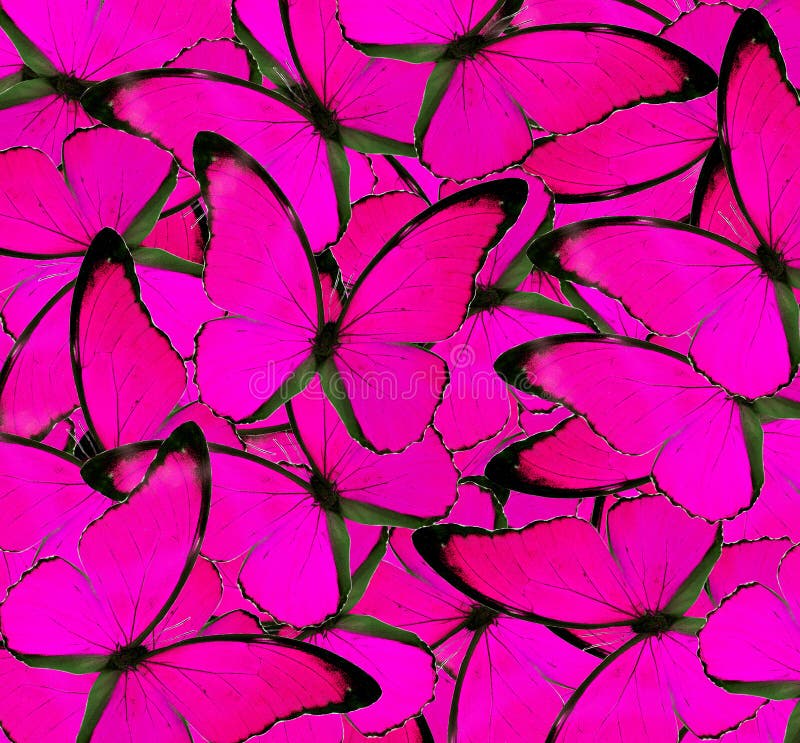 Pink Butterfly Background Images  Free Download on Freepik