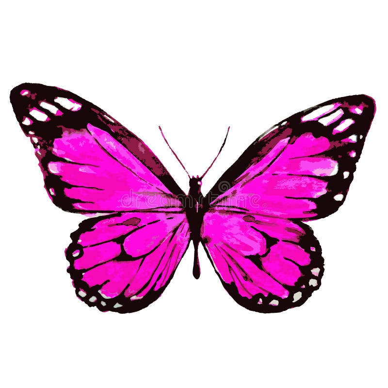 Download Beautiful Pink Butterfly, Isolated On A White Stock Vector ...