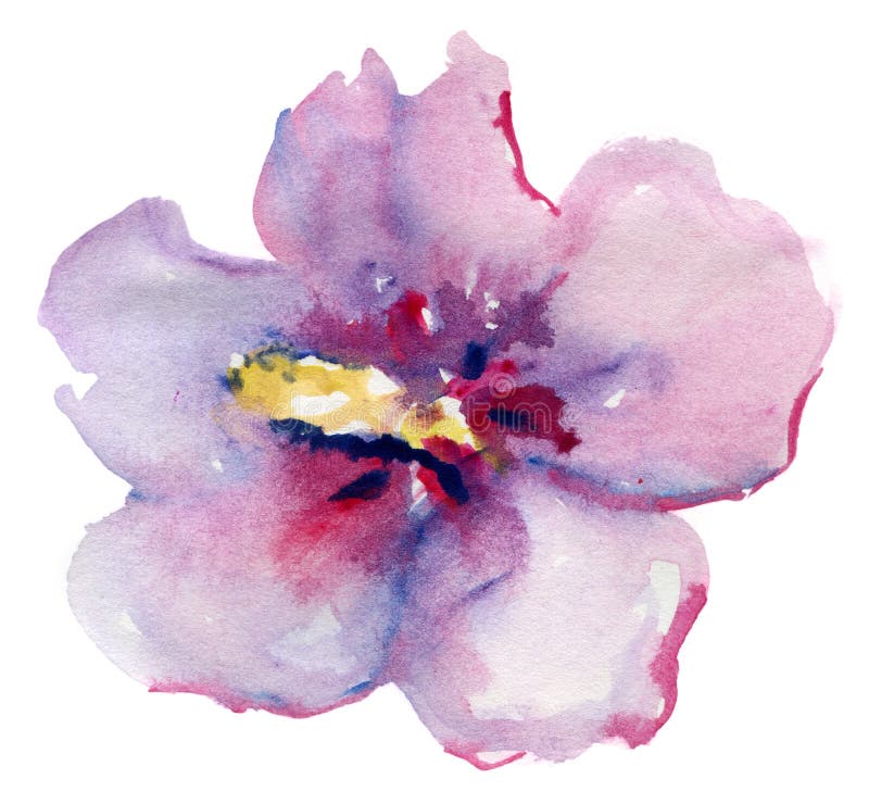 Beautiful pink flower, Watercolor painting.