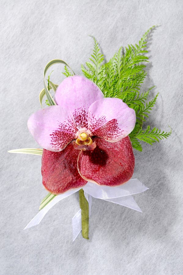 Beautiful pink orchid corsage