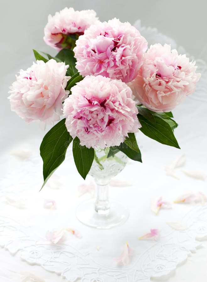 Beautiful peonies stock photo. Image of petal, house, romance - 9697886