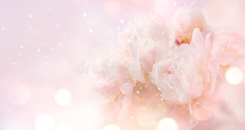 Beautiful pink peony bouquet art background. Blooming pastel peony or roses border flowers card design