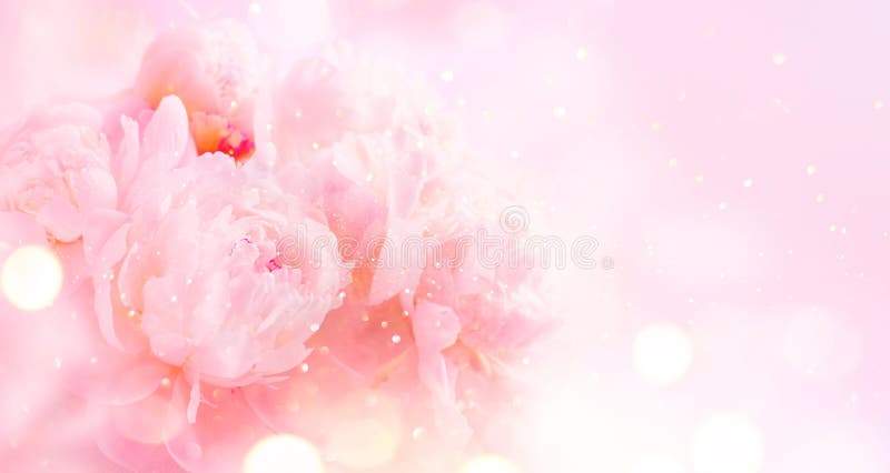 Beautiful pink peony bouquet art background. Blooming pastel peony or roses border flowers card design. Wedding backdrop