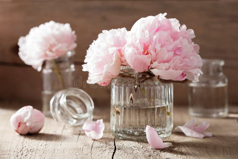 Beautiful pink peony flowers bouquet in vase