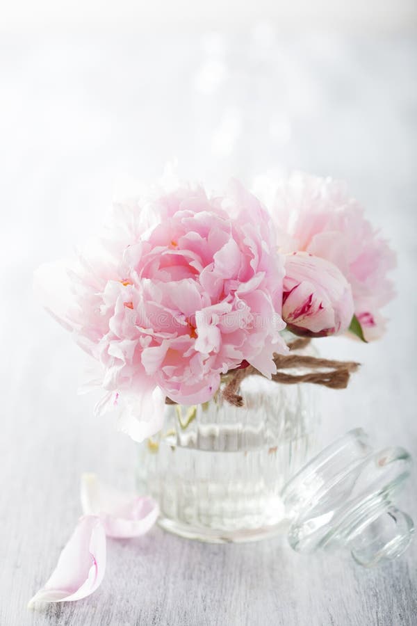 Beautiful pink peony flowers bouquet in vase