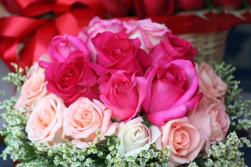 Beautiful Pink Rose Bouquet Stock Photo Image of beauty, love 133457806