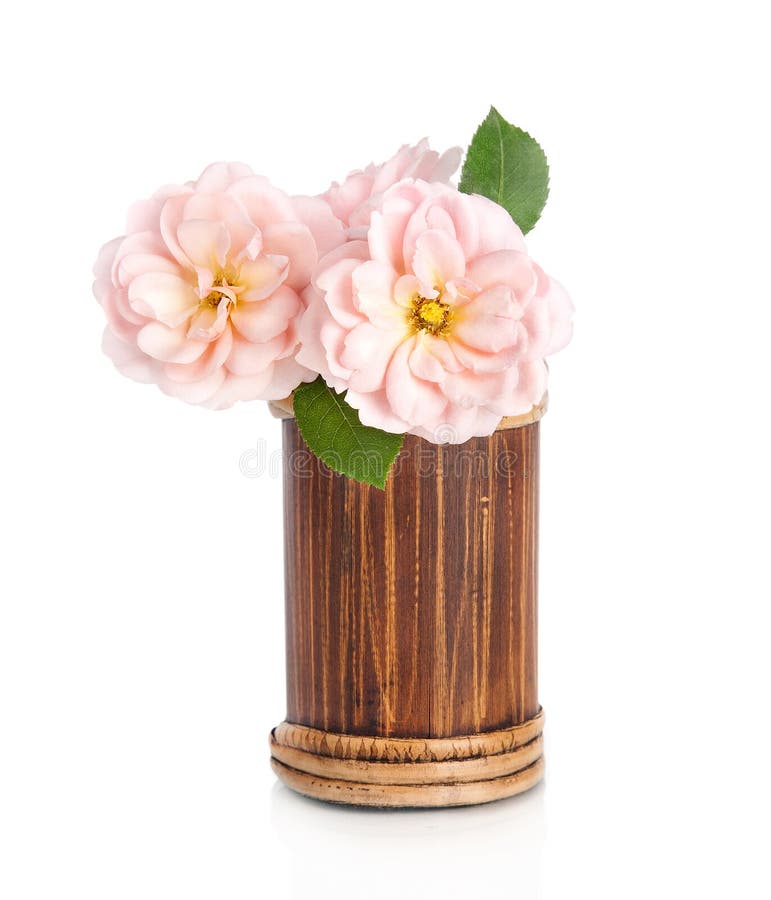 Beautiful pink rose flower in vase