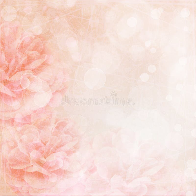Beautiful pink rose stock illustration