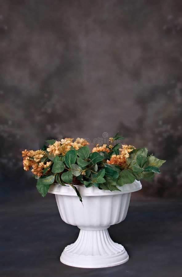 Beautiful Planter with Flowers Digital Prop