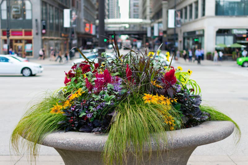 Beautiful Planter on Michigan Avenue in Downtown Chicago with Plants ...