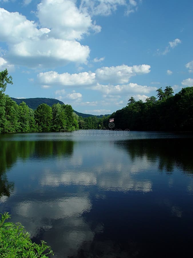 Beautiful pond landscape