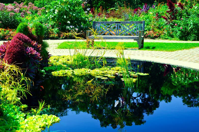Beautiful pond in the park