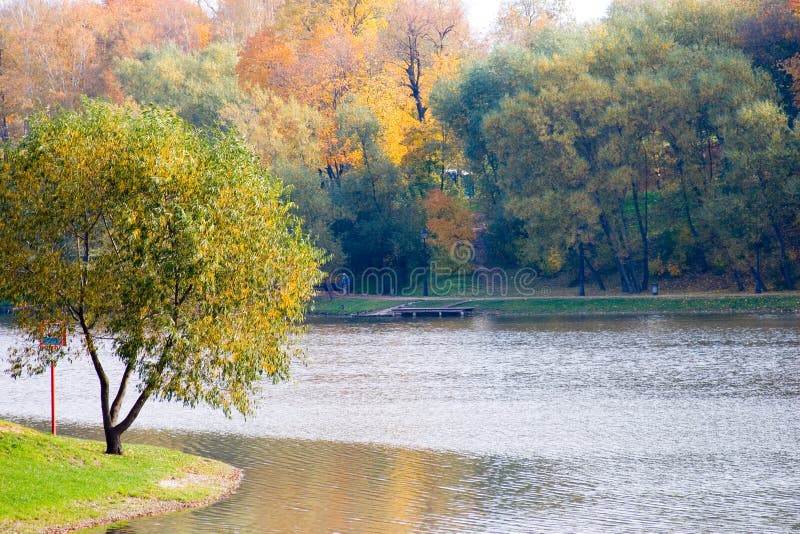 Beautiful pond and yellow trees.