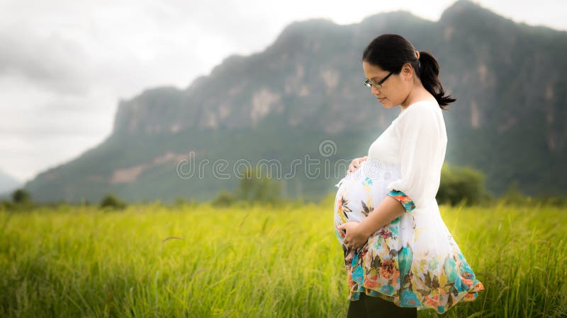 Beautiful Pregnant Asian Woman in Rice Field