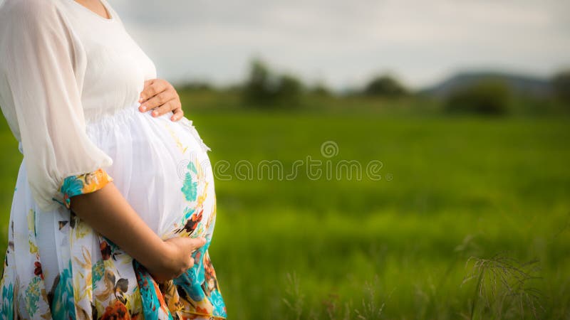 Hermoso asiático una mujer amable posesión su barriga nuevo plantado a nublado el cielo en.