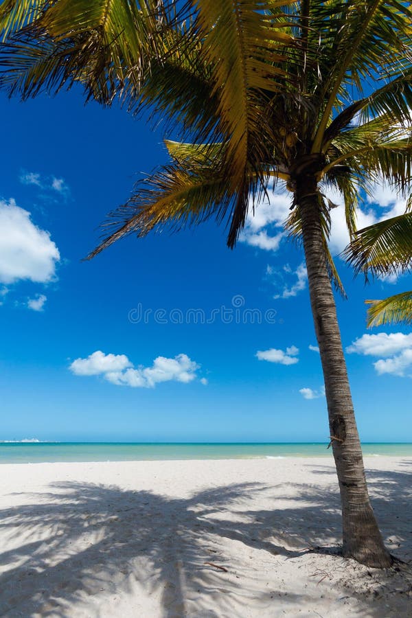 Beautiful Progreso Beach in Mexico Stock Image Image of peninsula