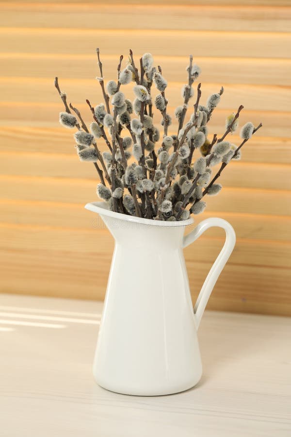 Beautiful blooming pussy willow branches in vase on white background Stock  Photo